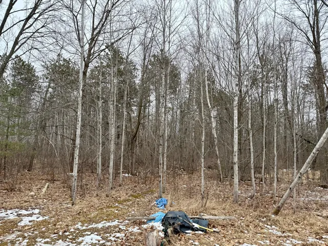 $149,000 | Xyz Hammond Road, Finlayson, MN 55735