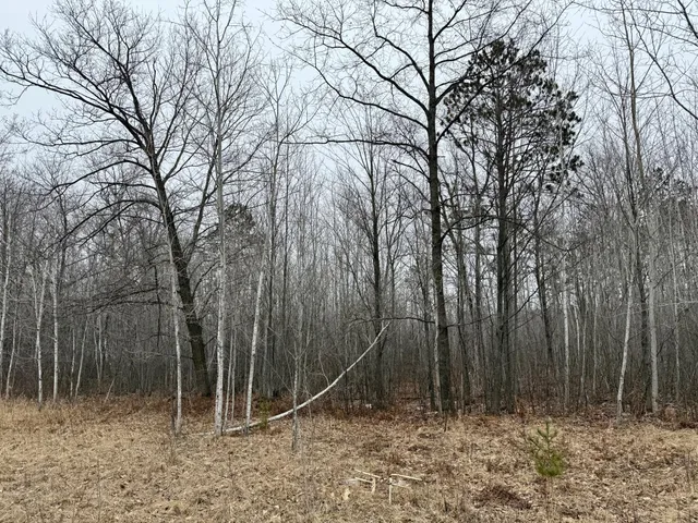 $149,000 | Xyz Hammond Road, Finlayson, MN 55735