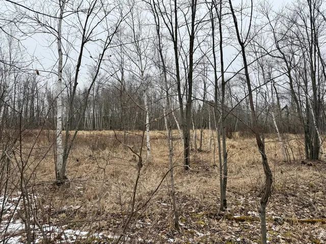 $149,000 | Xyz Hammond Road, Finlayson, MN 55735