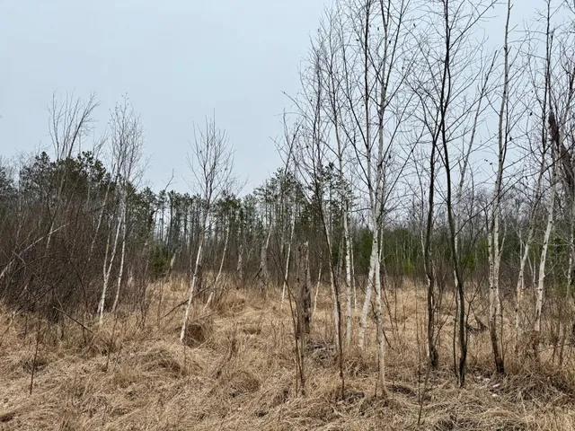 $149,000 | Xyz Hammond Road, Finlayson, MN 55735