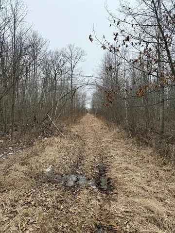 $149,000 | Xyz Hammond Road, Finlayson, MN 55735