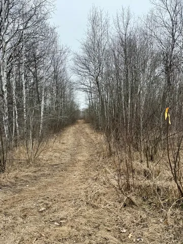 $149,000 | Xyz Hammond Road, Finlayson, MN 55735