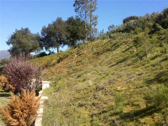339 Galloway Valley Road Alpine, CA 91901 - Photo 22 of 25