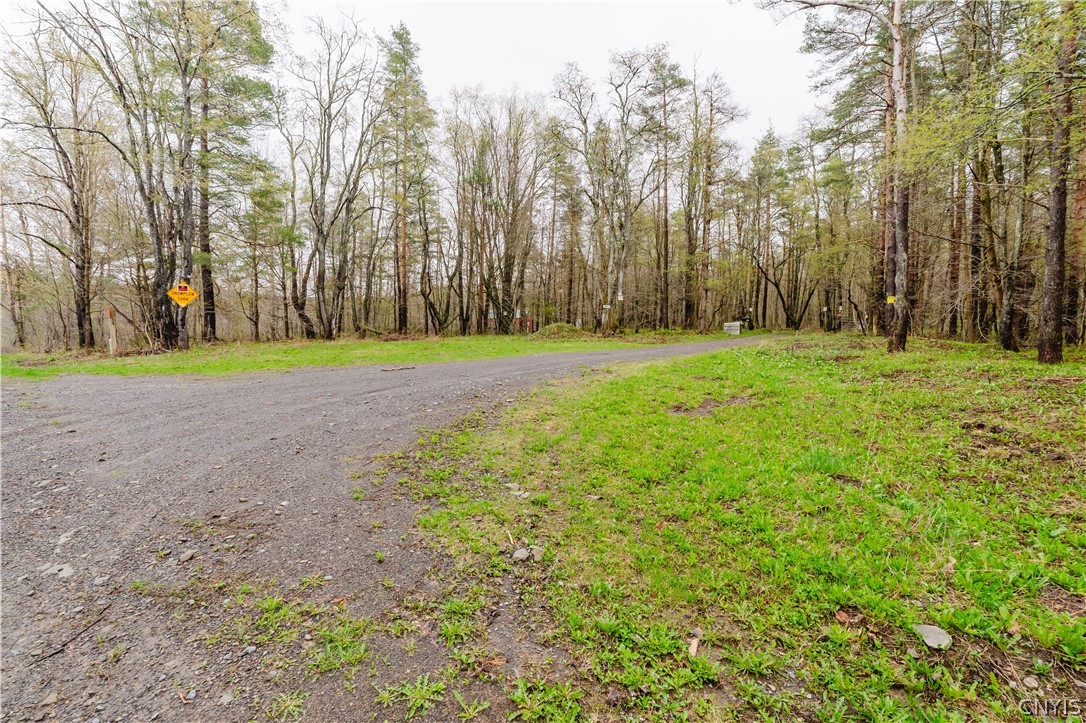 3642 Van Brocklin Road Worth, NY 13659 - Photo 40 of 47