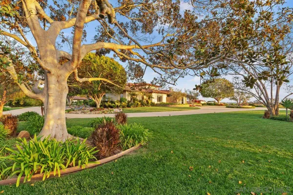a view of yard with green space