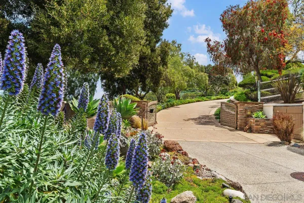 a view of a garden with flowers