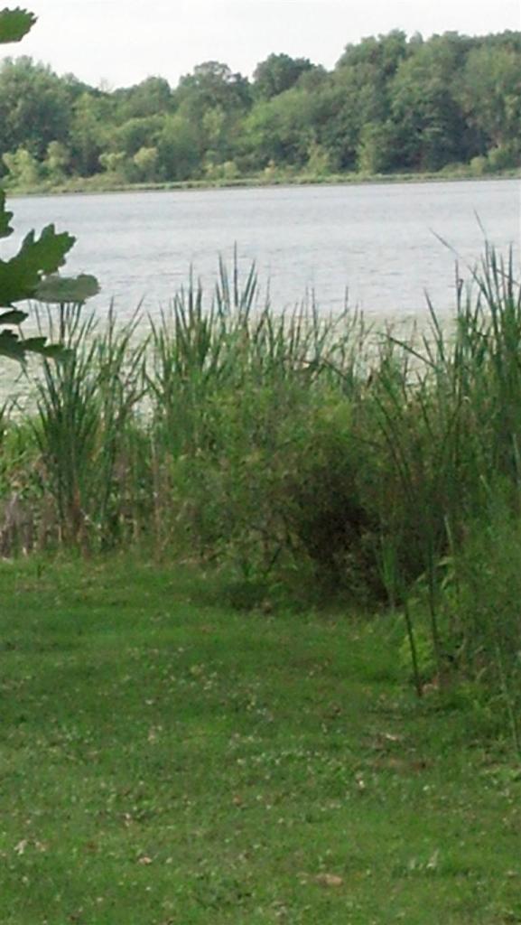 5678 Corrigan Road Lowell, MI 49331 - Photo 1 of 4 Primary Photo
