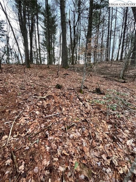 164 Smith Road Deep Gap, NC 28618 - Photo 5 of 16 a view of a yard with trees