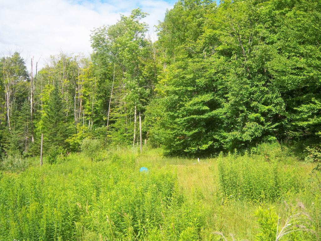 25 Dow Road Washington, VT 05675 - Photo 4 of 7