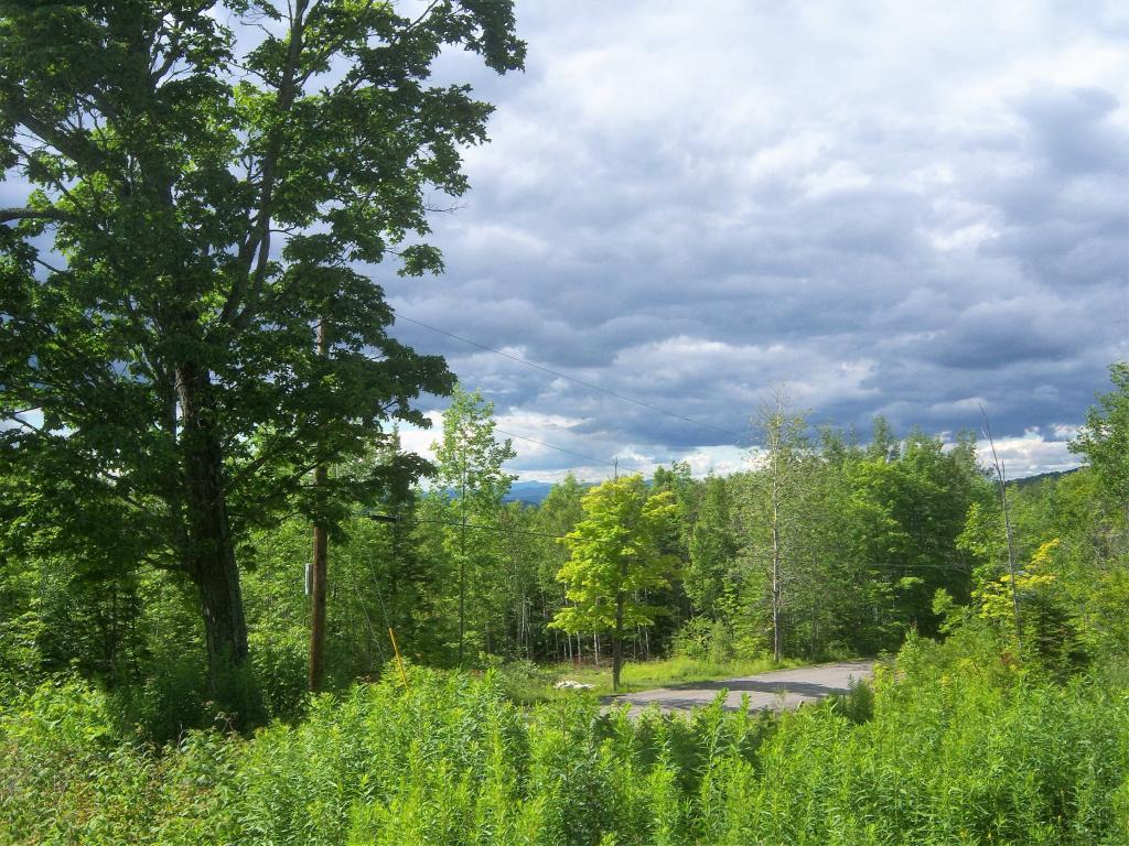 25 Dow Road Washington, VT 05675 - Photo 6 of 7