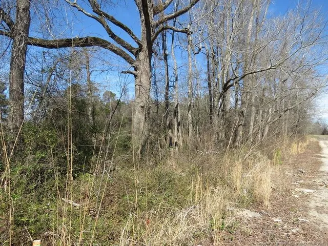 $150,000 | Tbd Kehukee Drive, Parkton, NC 28371