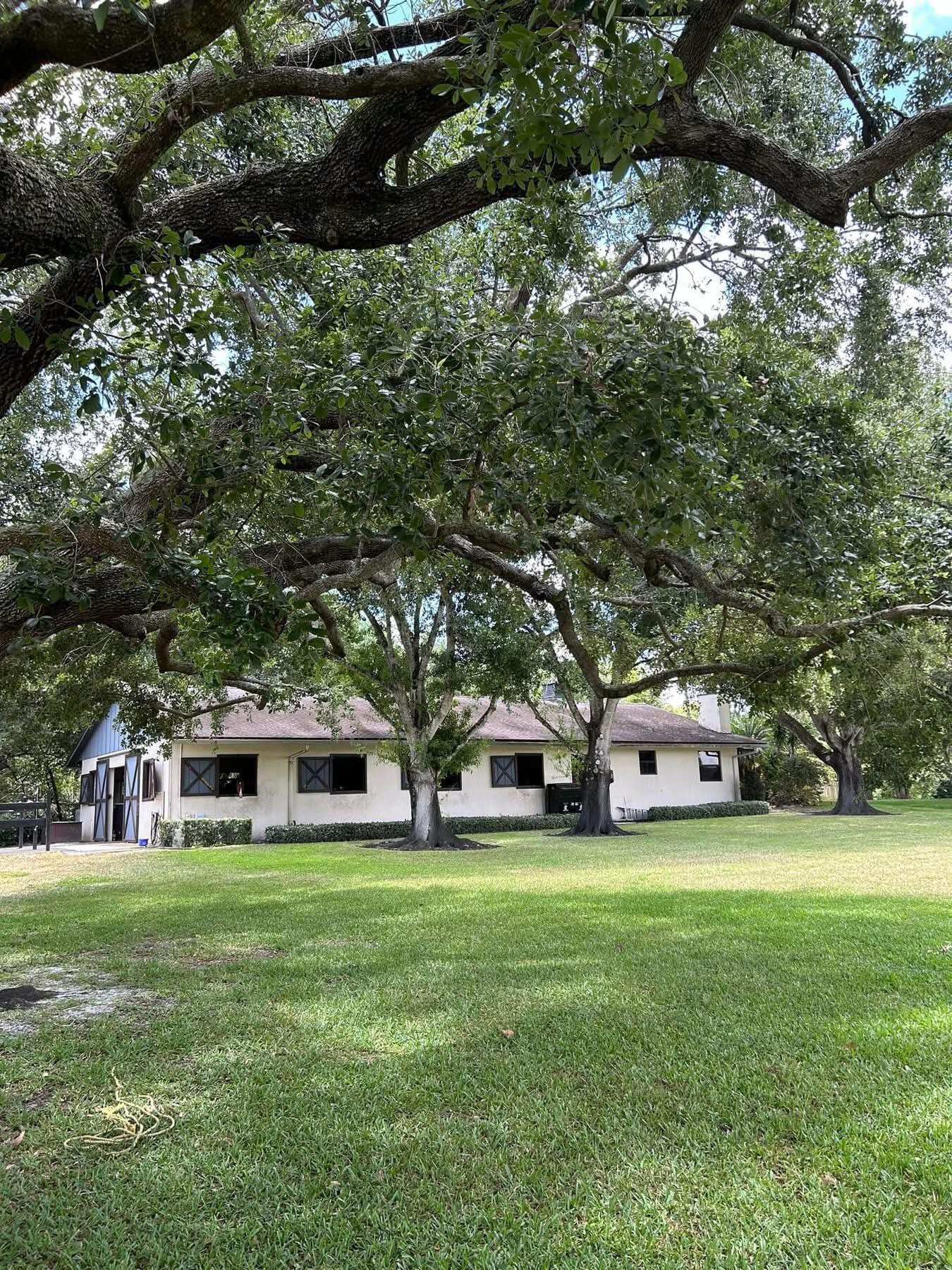 a view of a house with a big yard and large trees
