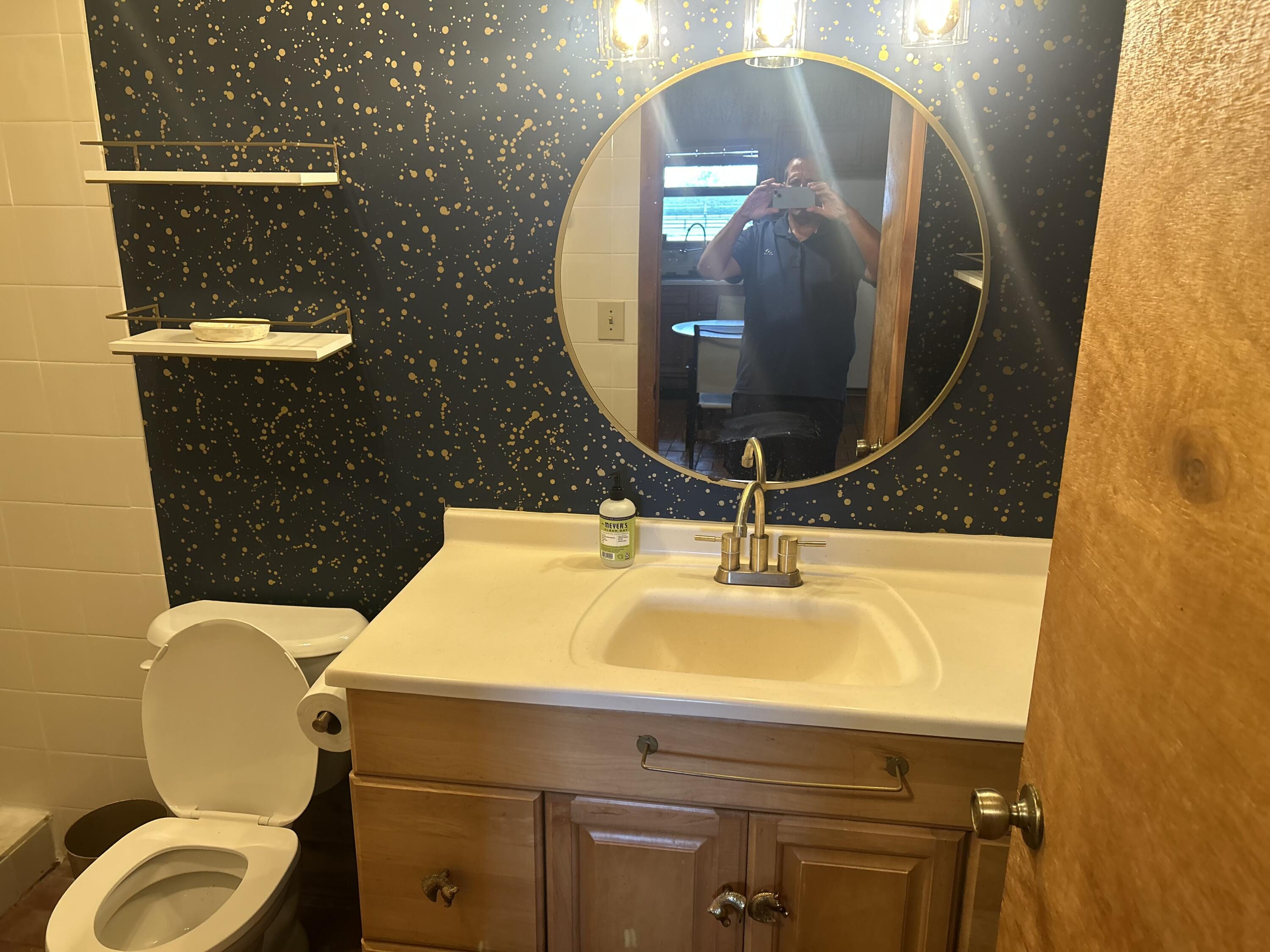 13821 53rd Road South Wellington, FL 33449 - Photo 9 of 10 a bathroom with a sink mirror and toilet