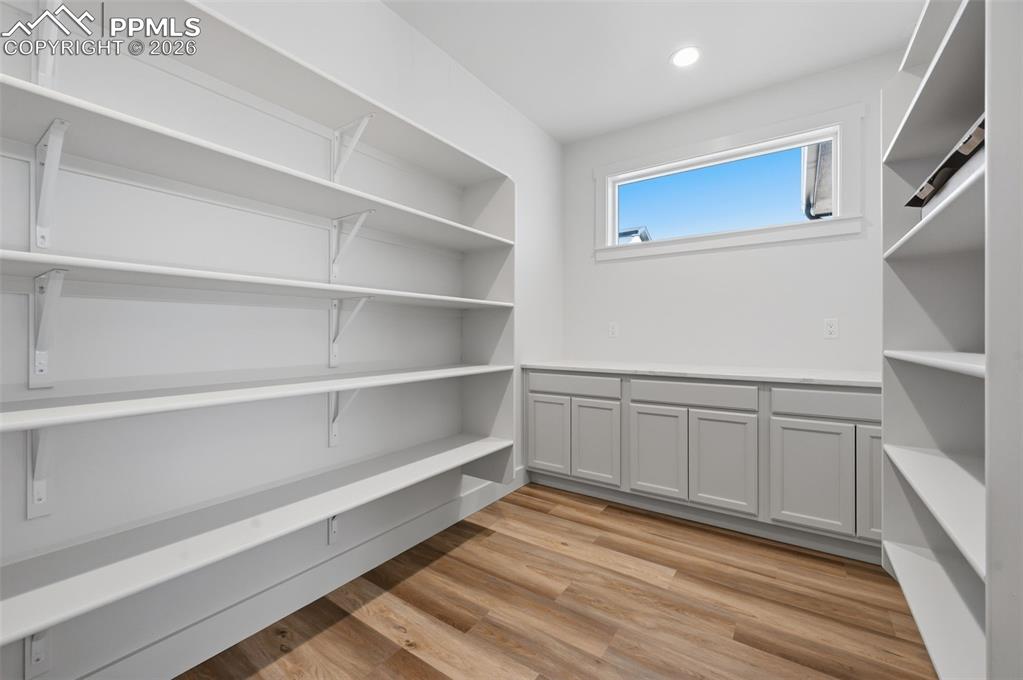 11293 Est Rdg Drive Peyton, CO 80831 - Photo 11 of 50 a view of an empty walk in closet