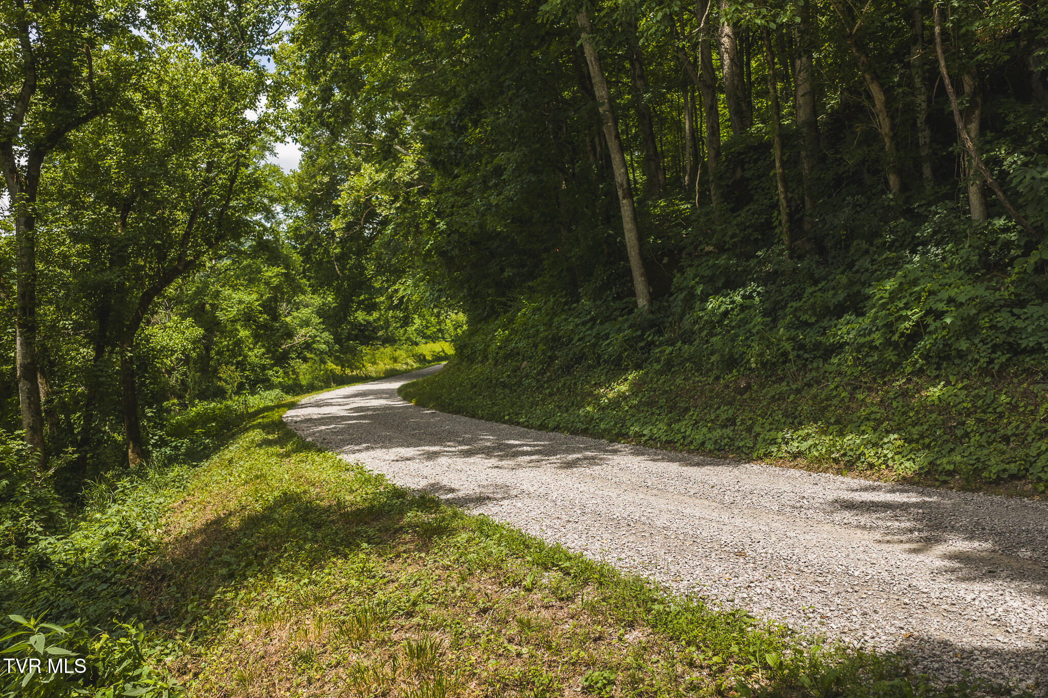 150-ac Big Springs Road Eidson, TN 37731 - Photo 17 of 24 DJI_20260616130732_0236_D