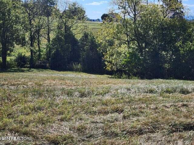 116 Russell Brothers Road Sharps Chapel, TN 37866 - Photo 1 of 9 Easy build site