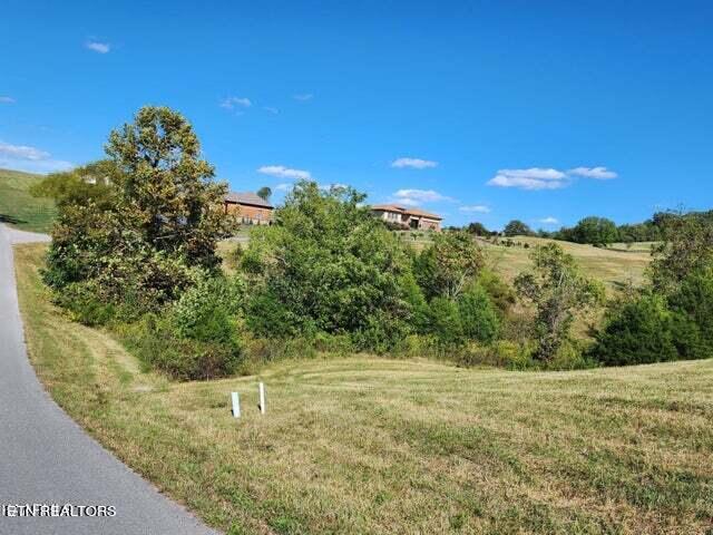 116 Russell Brothers Road Sharps Chapel, TN 37866 - Photo 5 of 9 Lot along road w/trees