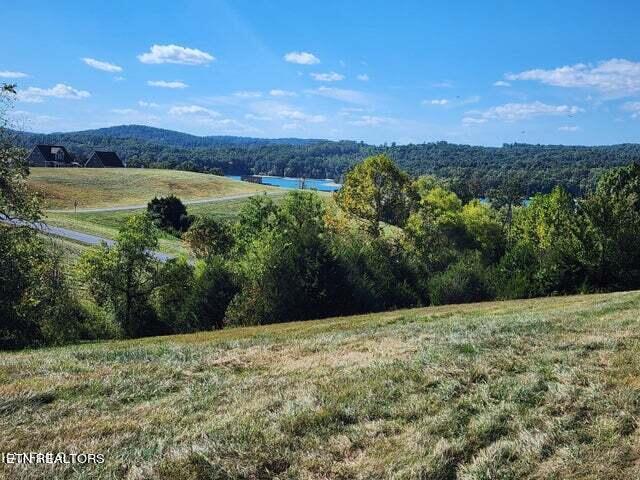 116 Russell Brothers Road Sharps Chapel, TN 37866 - Photo 8 of 9 Great slope for a walk out level
