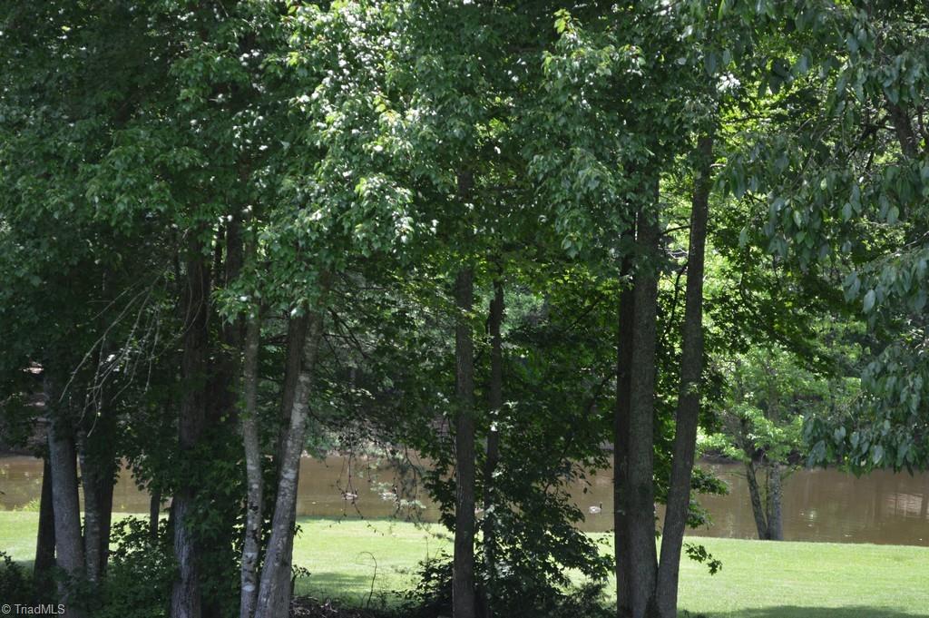 7083 Lanier Road Summerfield, NC 27358 - Photo 18 of 25