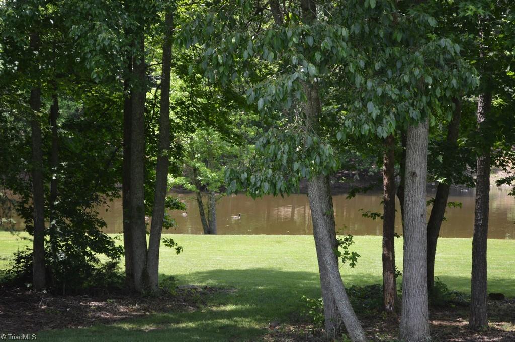 7083 Lanier Road Summerfield, NC 27358 - Photo 20 of 25 View of the lake!