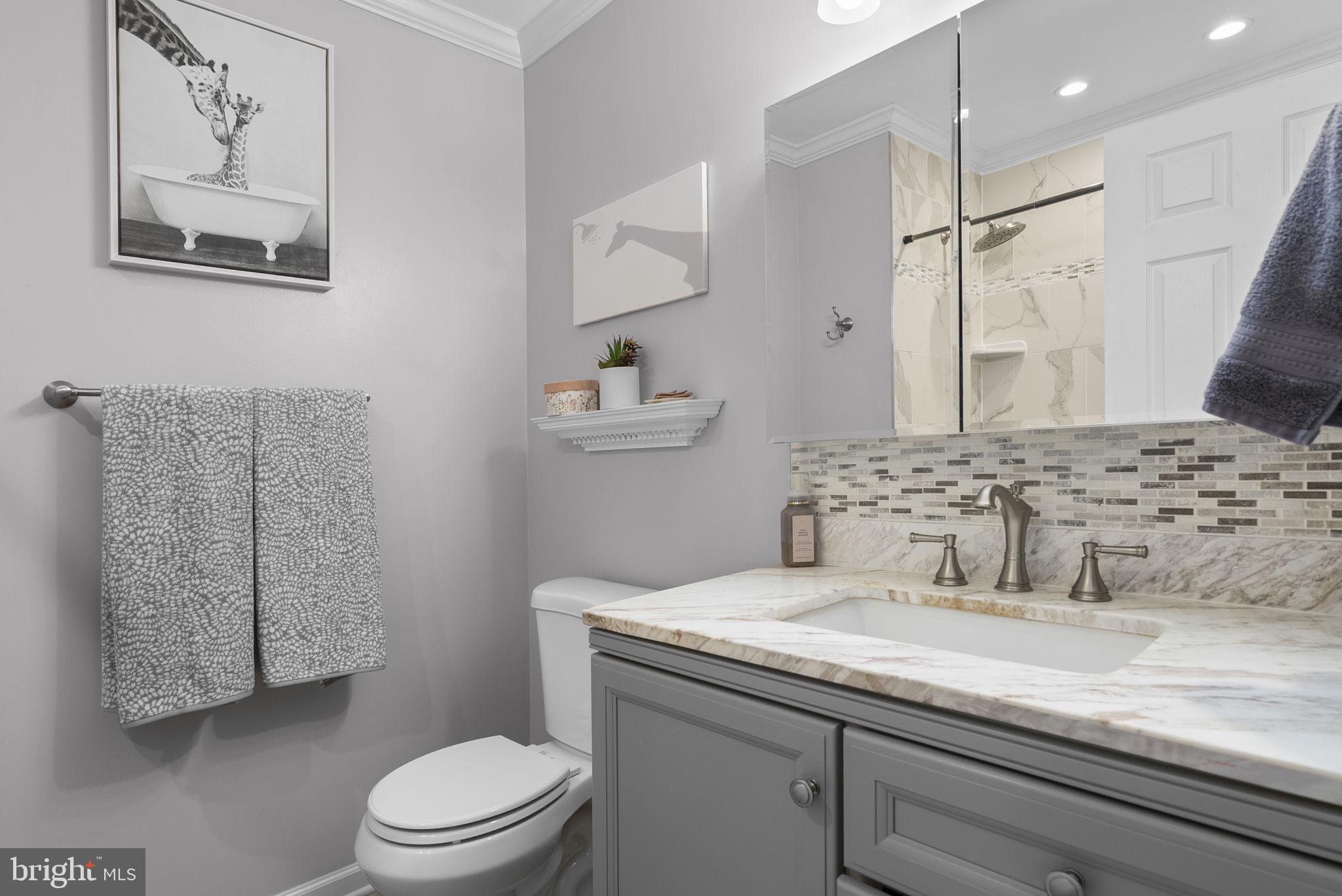 5140 Perry Road Mount Airy, MD 21771 - Photo 21 of 55 Sleek modern bathroom with elegant touches.