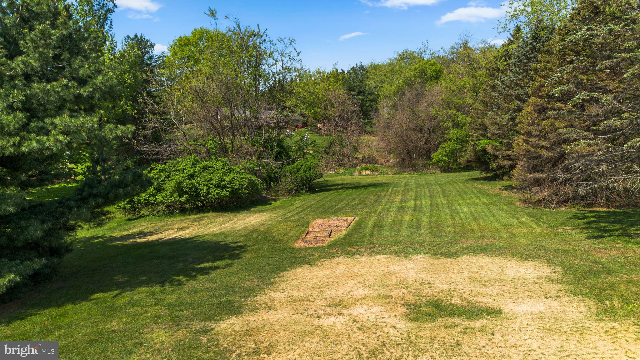5140 Perry Road Mount Airy, MD 21771 - Photo 54 of 55 Lush green expanse with serene trees.