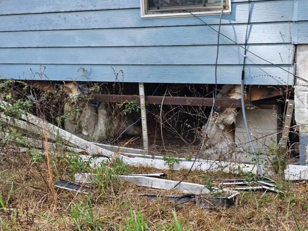 a backyard of a house