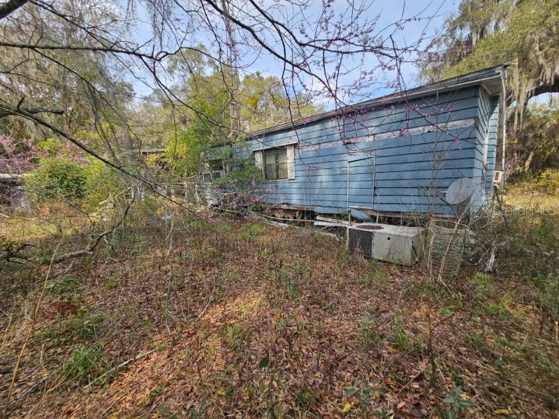 4210 Northeast 175th Street Road Citra, FL 32113 - Photo 13 of 21