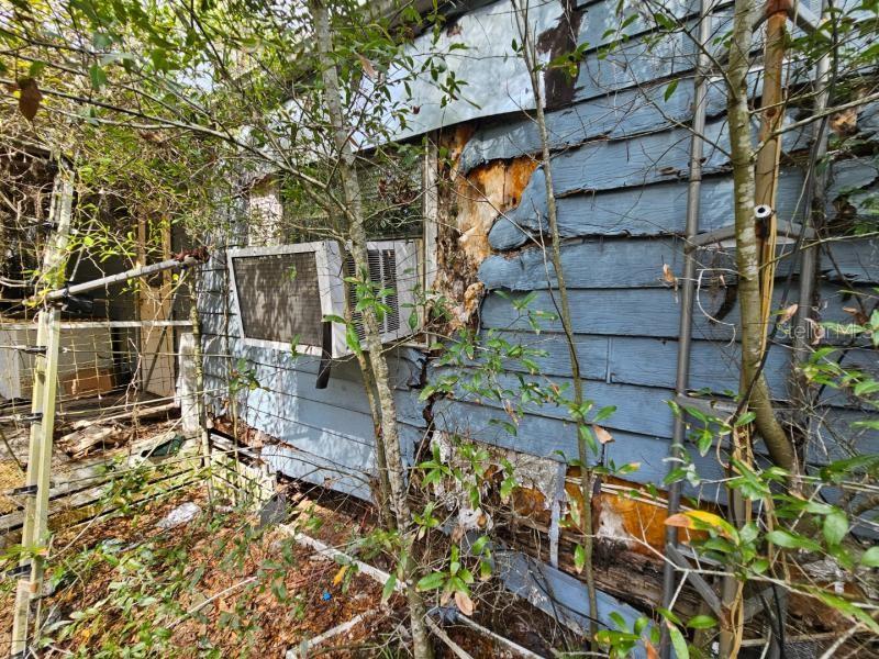 4210 Northeast 175th Street Road Citra, FL 32113 - Photo 15 of 21