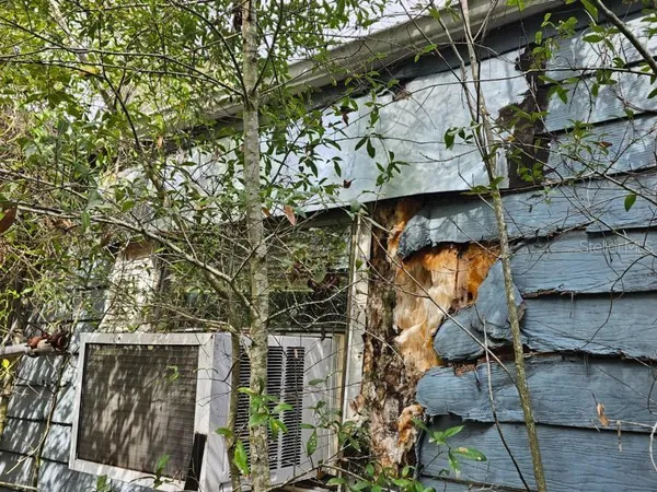 a view of a tiny house with a yard