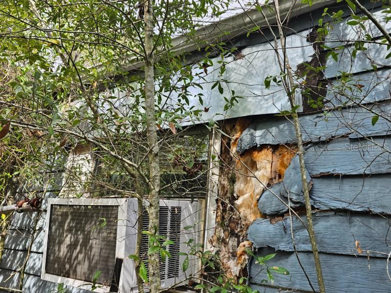 4210 Northeast 175th Street Road Citra, FL 32113 - Photo 16 of 21