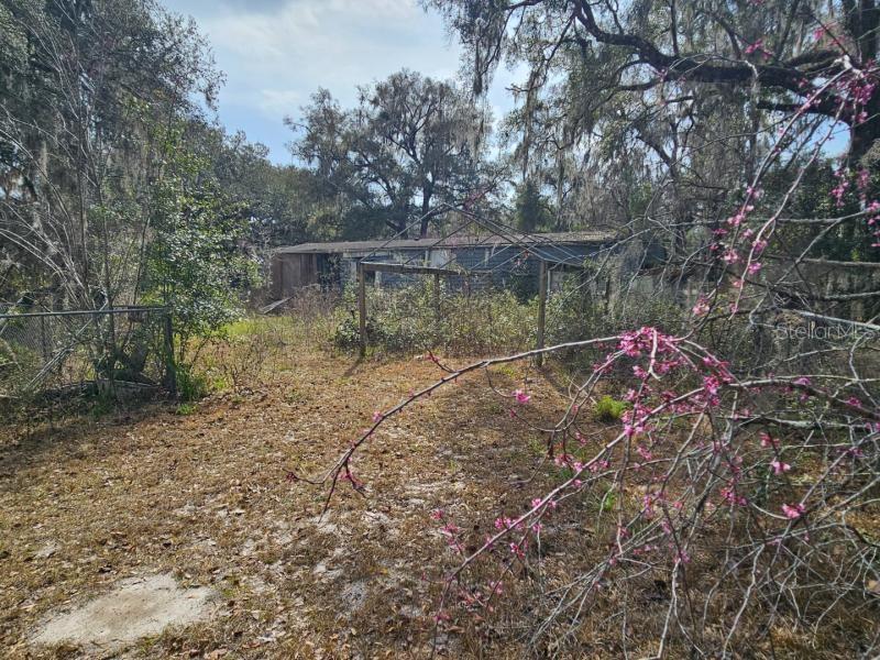 4210 Northeast 175th Street Road Citra, FL 32113 - Photo 5 of 21