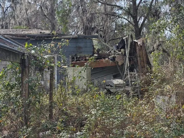 a backyard of a house with lots of green space