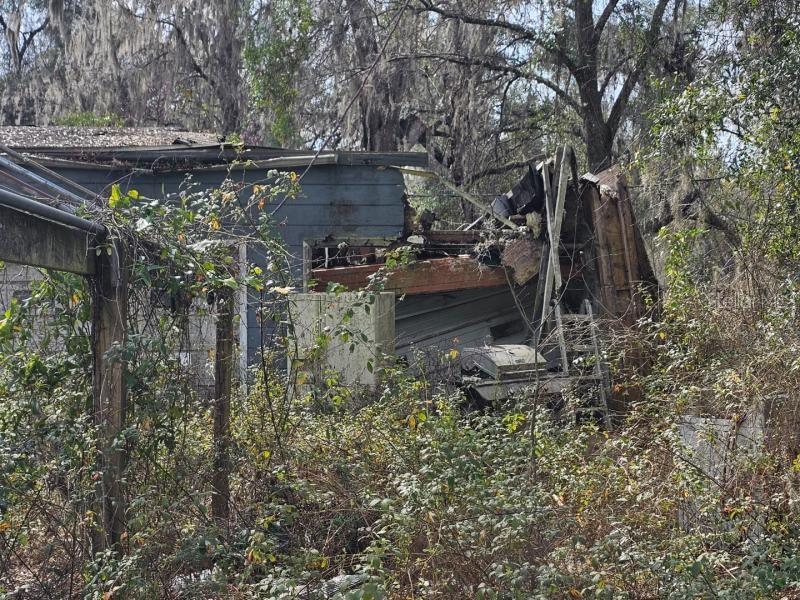 4210 Northeast 175th Street Road Citra, FL 32113 - Photo 6 of 21