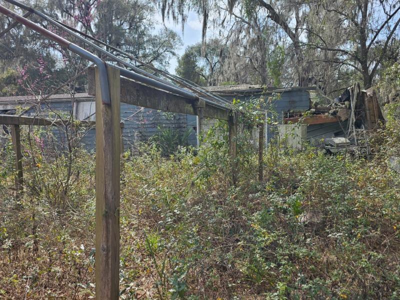 4210 Northeast 175th Street Road Citra, FL 32113 - Photo 8 of 21