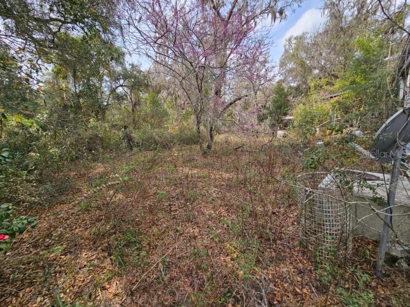 4210 Northeast 175th Street Road Citra, FL 32113 - Photo 9 of 21