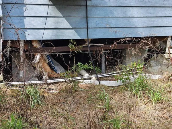 a close view of sink