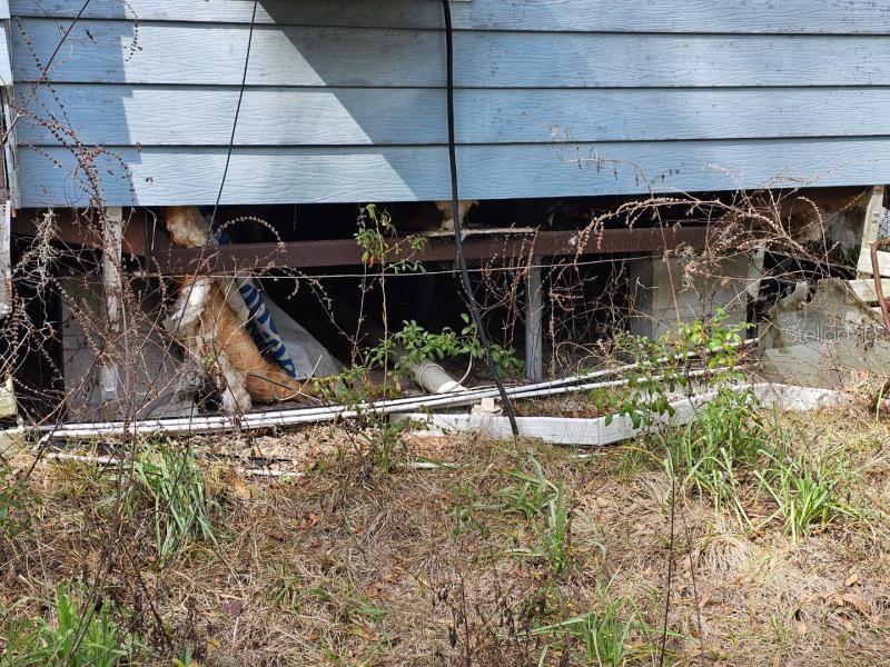 4210 Northeast 175th Street Road Citra, FL 32113 - Photo 10 of 21