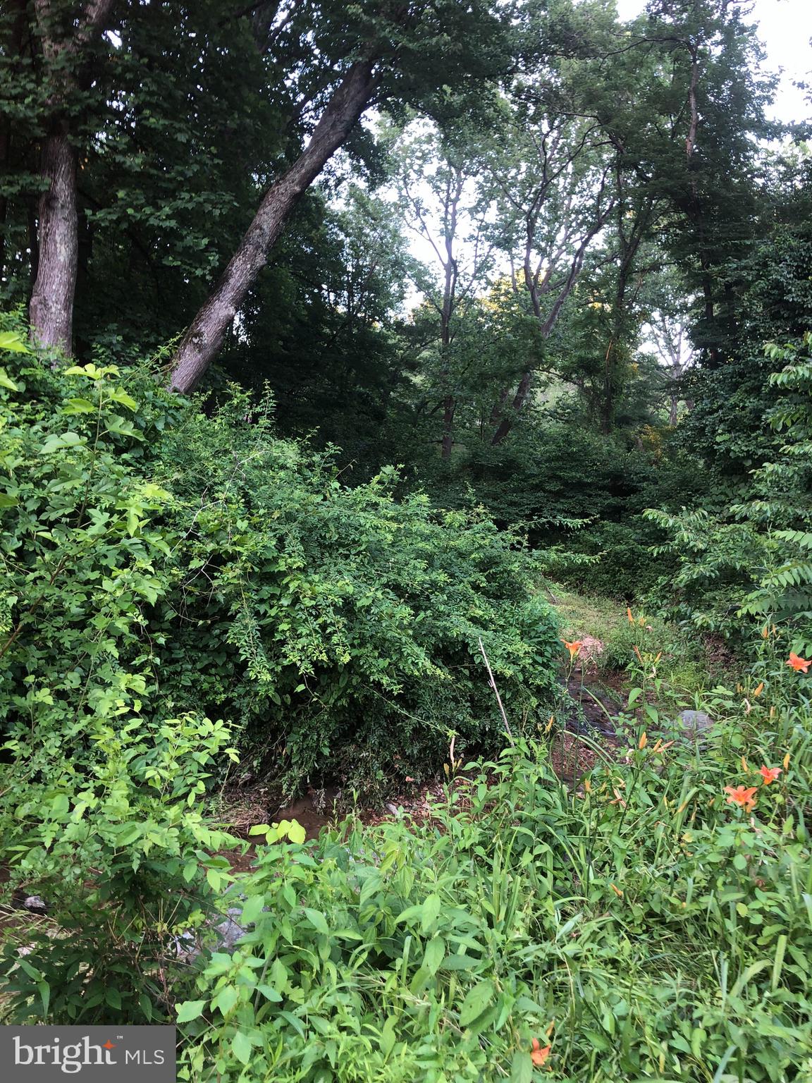 Woodfield Rd Woodfield Road Laytonsville, MD 20882 - Photo 12 of 22 Tiny creek that runs along the frontage of part of
