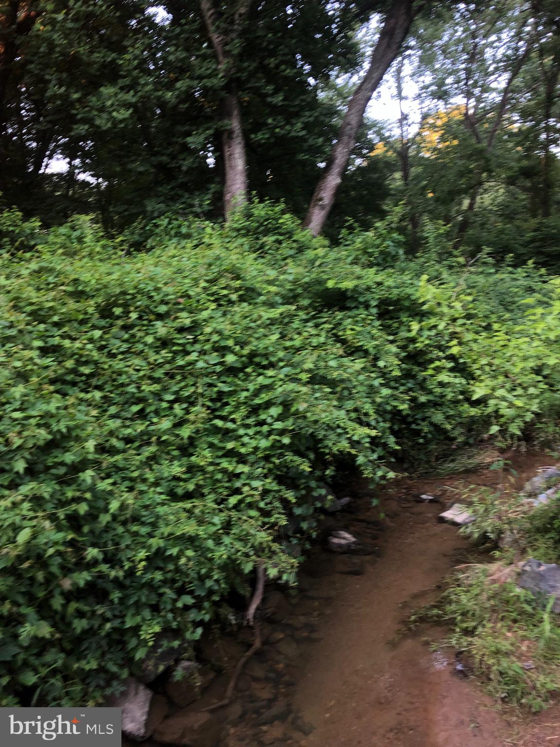 Woodfield Rd Woodfield Road Laytonsville, MD 20882 - Photo 13 of 22 Little creek runs on South of frontage.