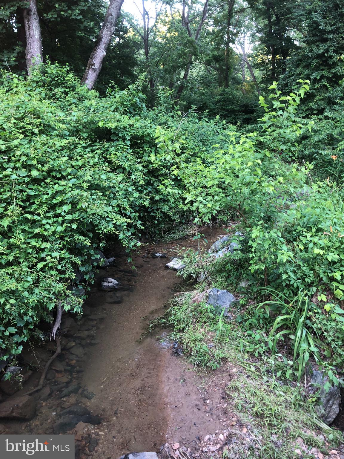 Woodfield Rd Woodfield Road Laytonsville, MD 20882 - Photo 14 of 22 Little Creek that runs thru part of frontage