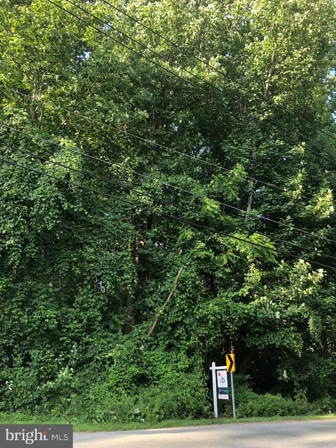 Woodfield Rd Woodfield Road Laytonsville, MD 20882 - Photo 21 of 22