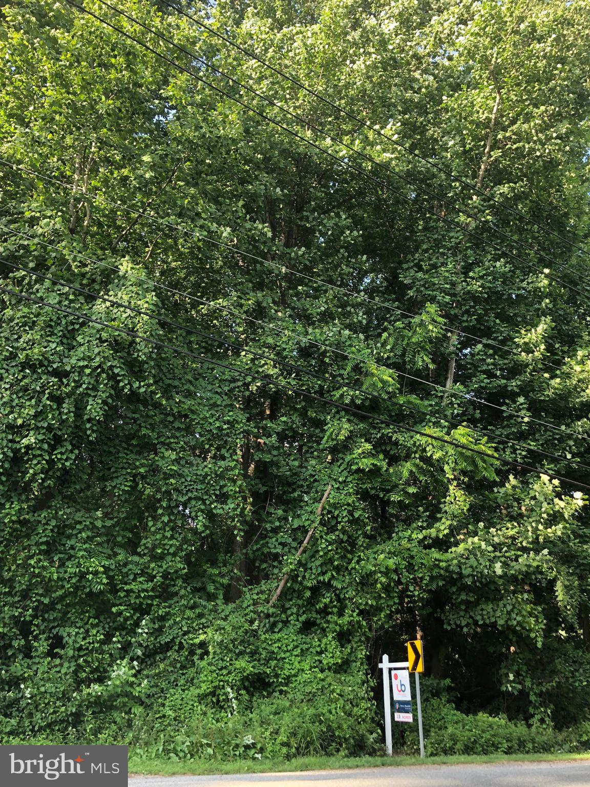 Woodfield Rd Woodfield Road Laytonsville, MD 20882 - Photo 22 of 22