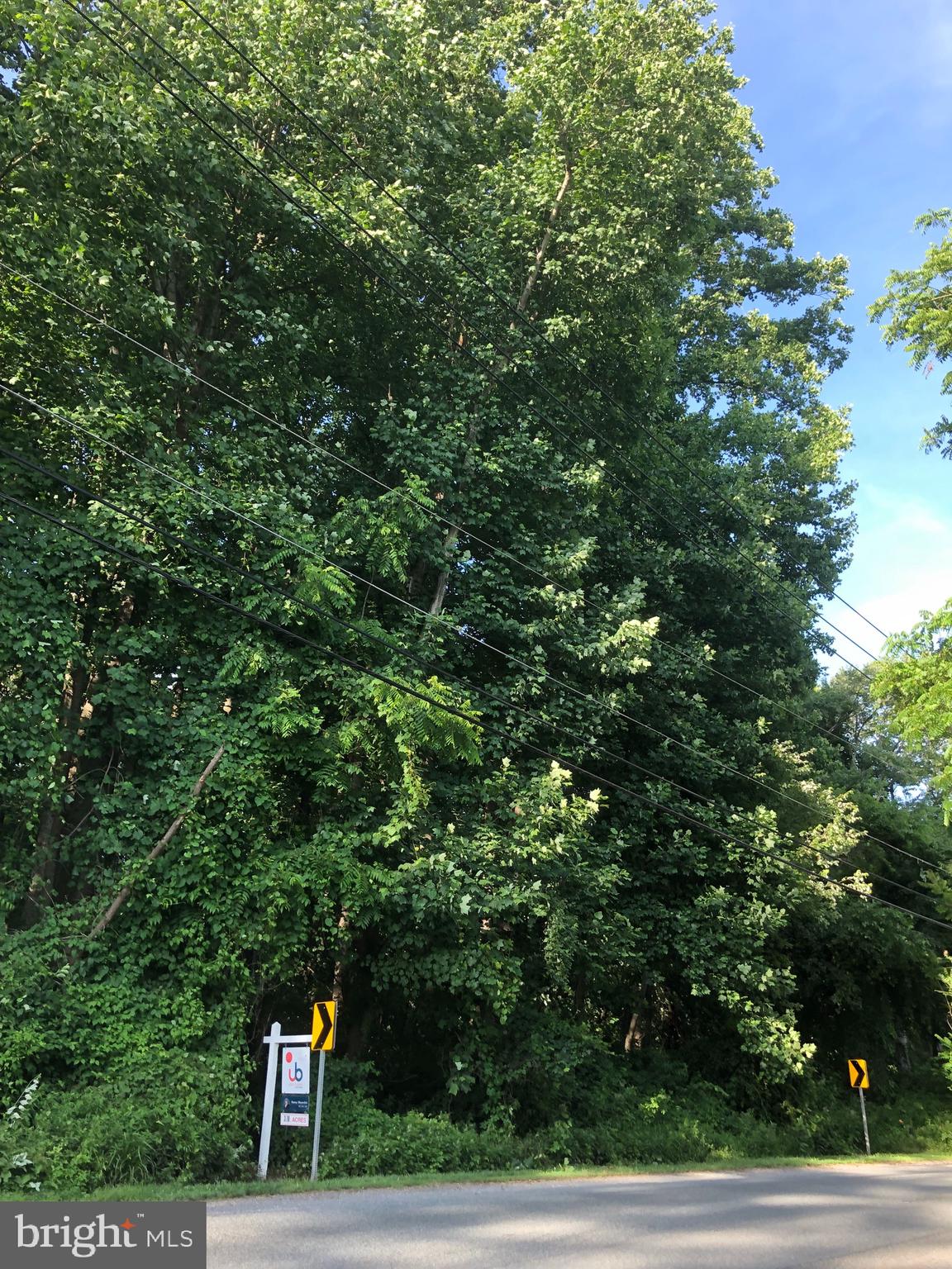 Woodfield Rd Woodfield Road Laytonsville, MD 20882 - Photo 4 of 22 Mature trees on land, as you can see.