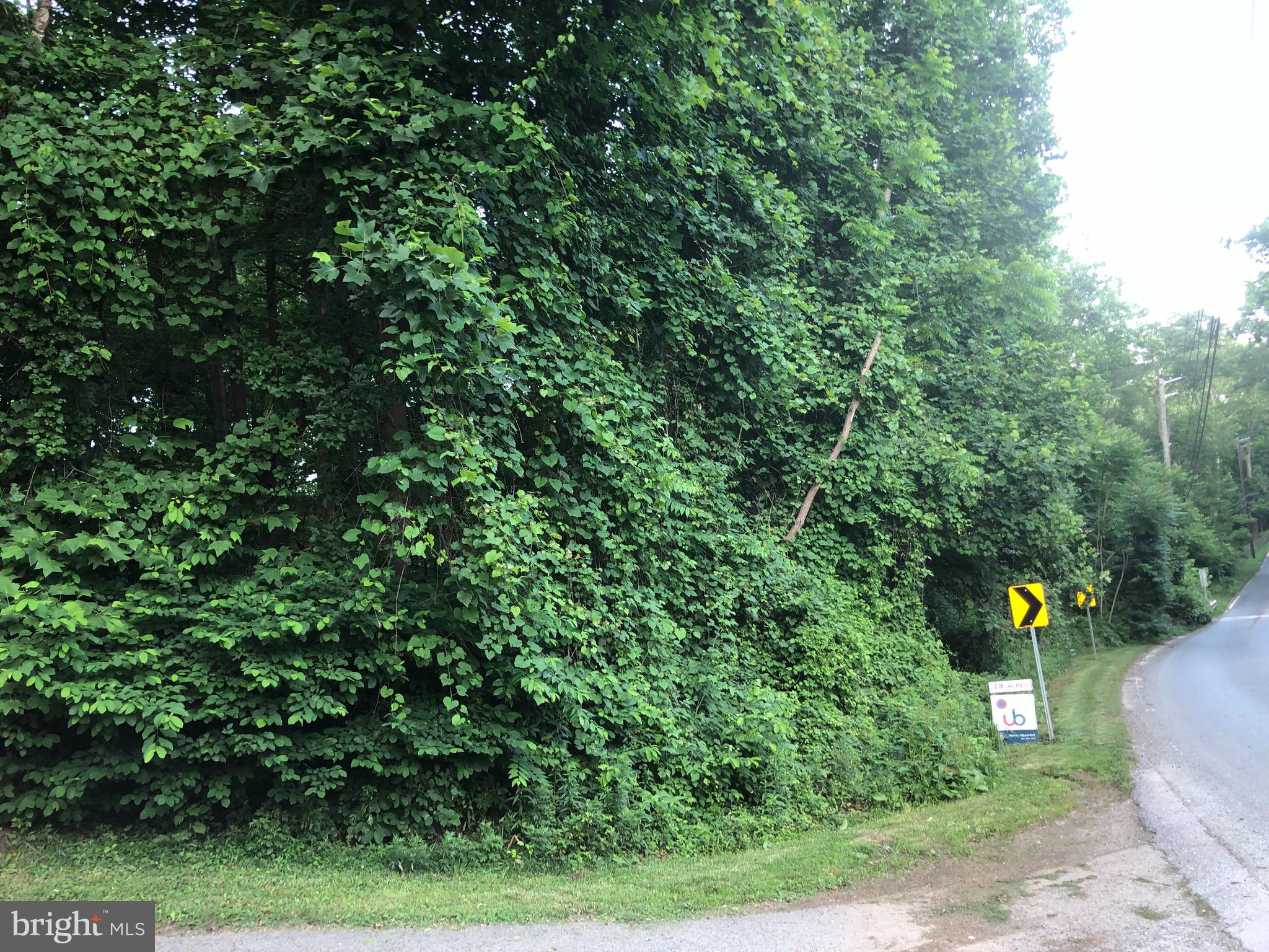 Woodfield Rd Woodfield Road Laytonsville, MD 20882 - Photo 5 of 22 Photo of land, left side of road, looking South on