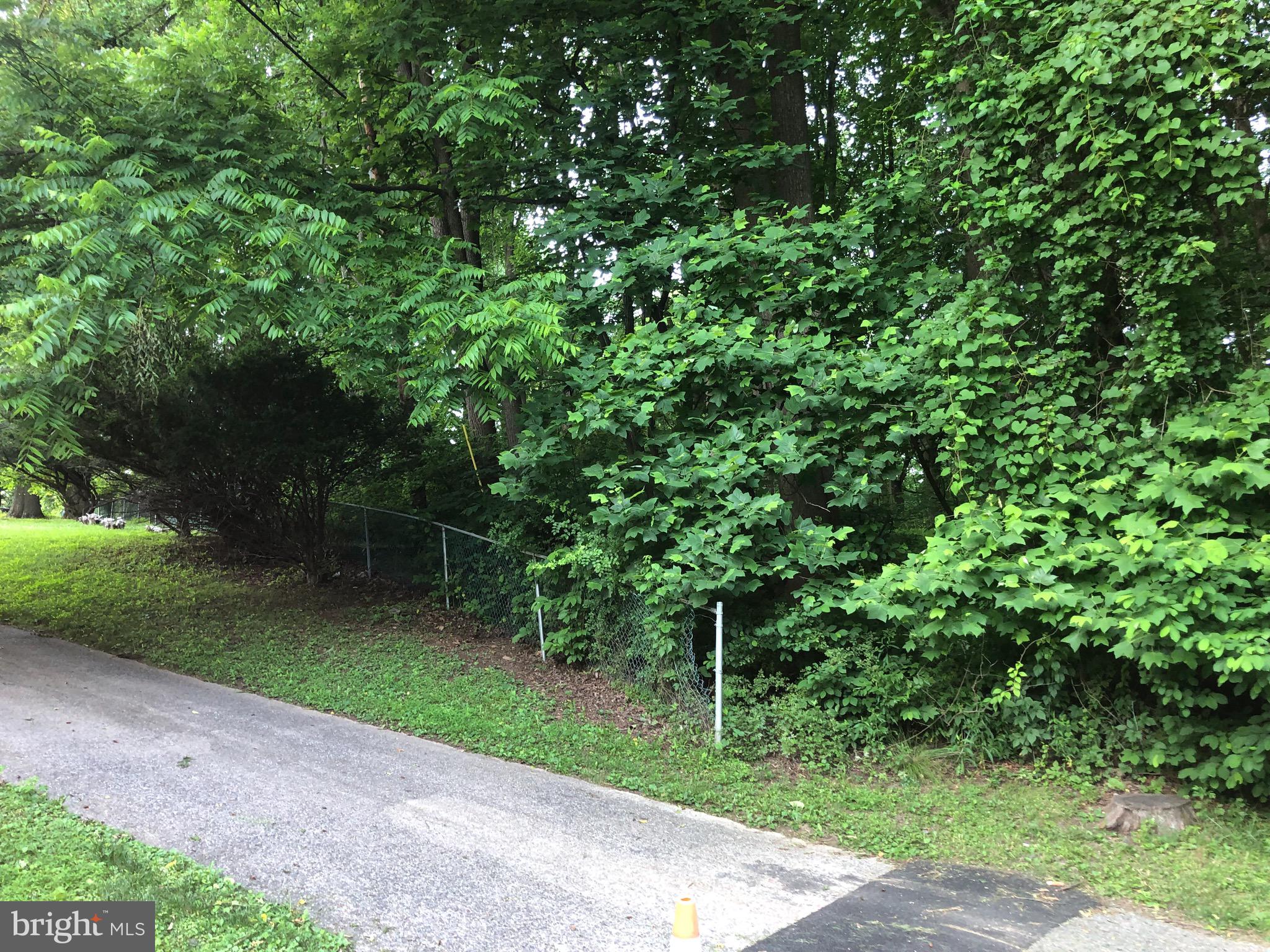 Woodfield Rd Woodfield Road Laytonsville, MD 20882 - Photo 7 of 22 Wooded lot on Woodfield
