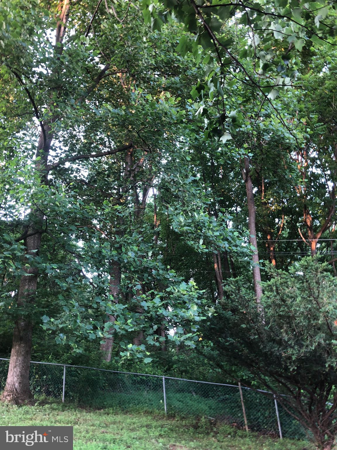 Woodfield Rd Woodfield Road Laytonsville, MD 20882 - Photo 10 of 22 Parcel 225 is on the other side of the fencing,