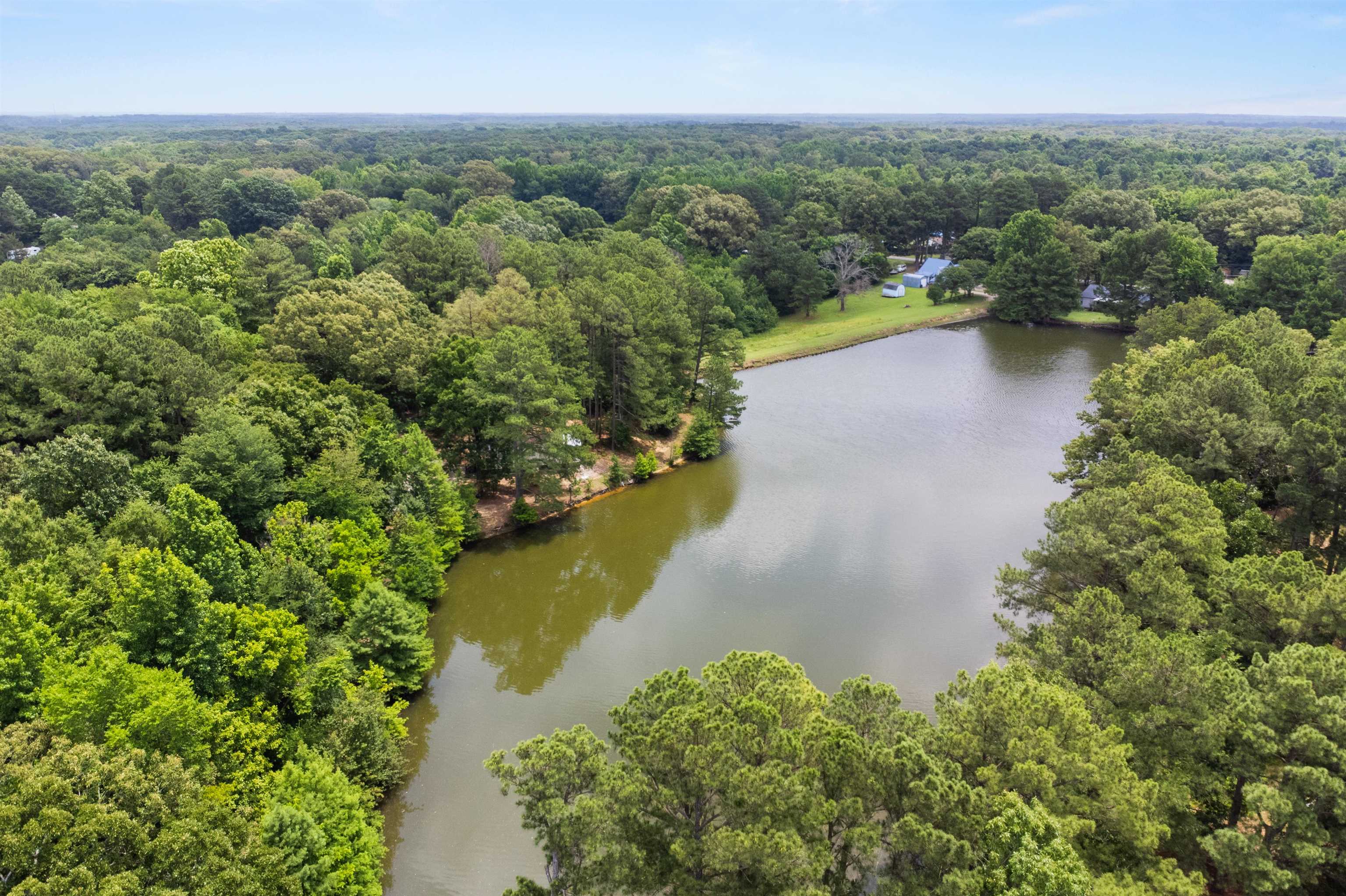 330 Whitley Road Oakland, TN 38060 - Photo 16 of 19 Expansive tree-lined property featuring a large pond with surrounding natural landscaping
