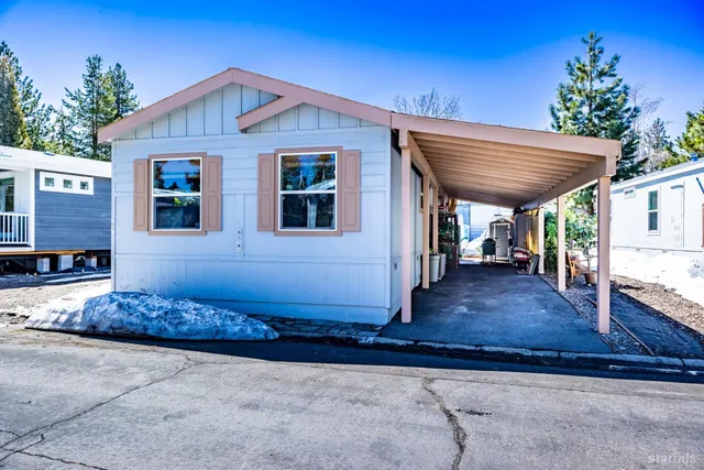 a living room with furniture a window and a potted plant