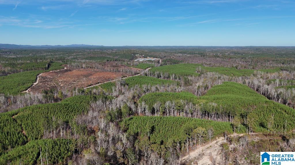 0 County Road 65 Fruithurst, AL 36262 - Photo 9 of 14